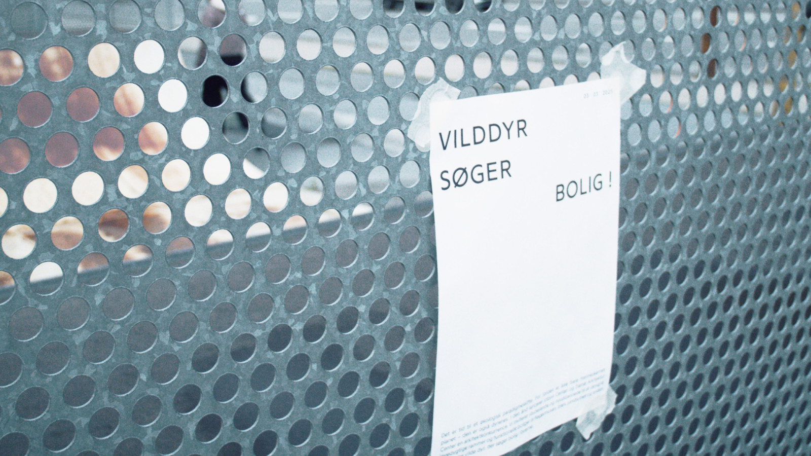 Vilddyr søger bolig