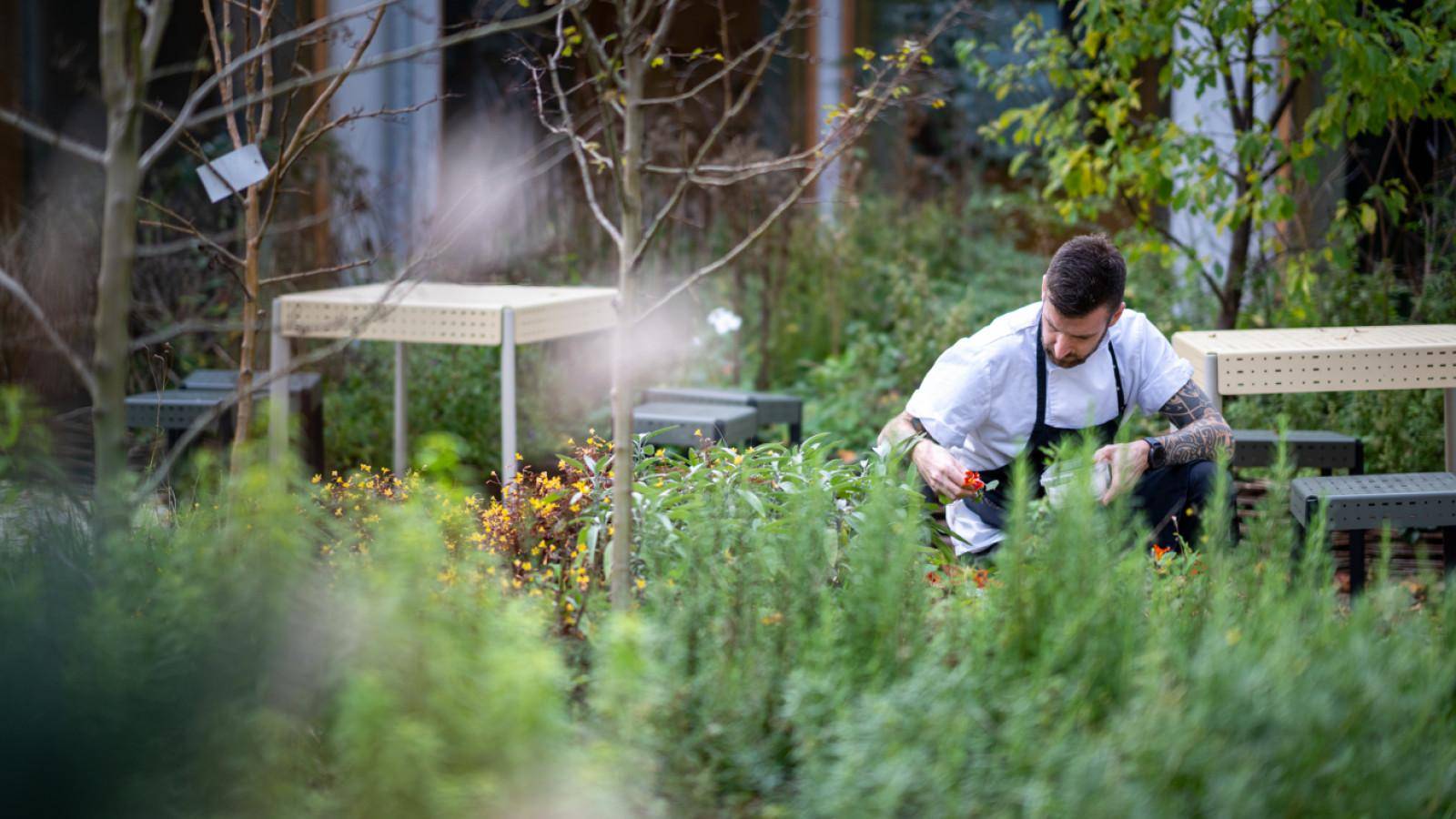 Foto af Utzon Center