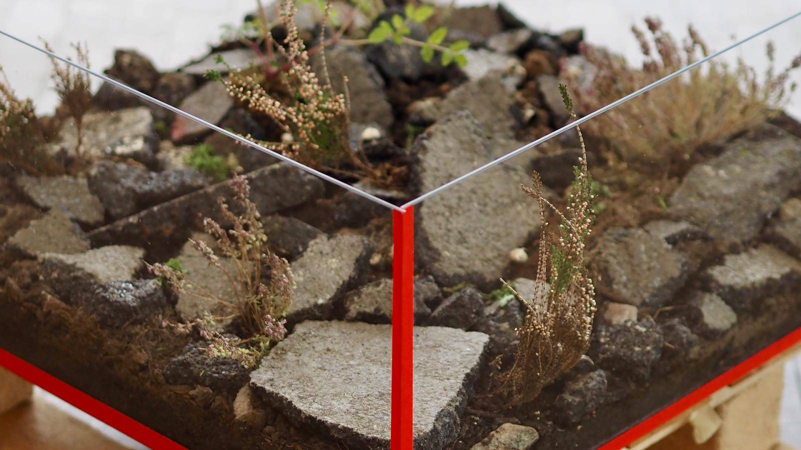 Foto fra konkurrence