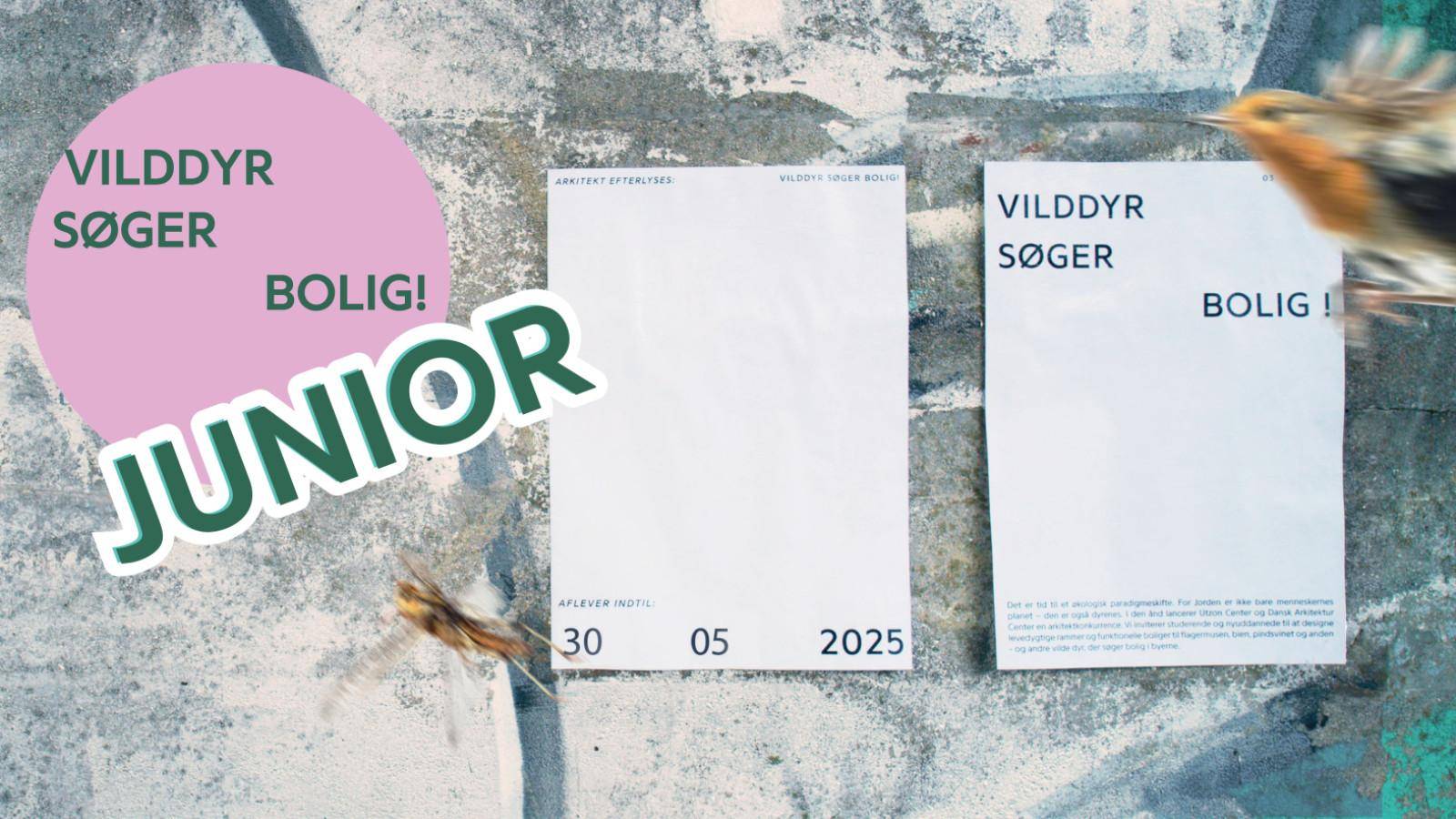 Vilddyr søger bolig junior