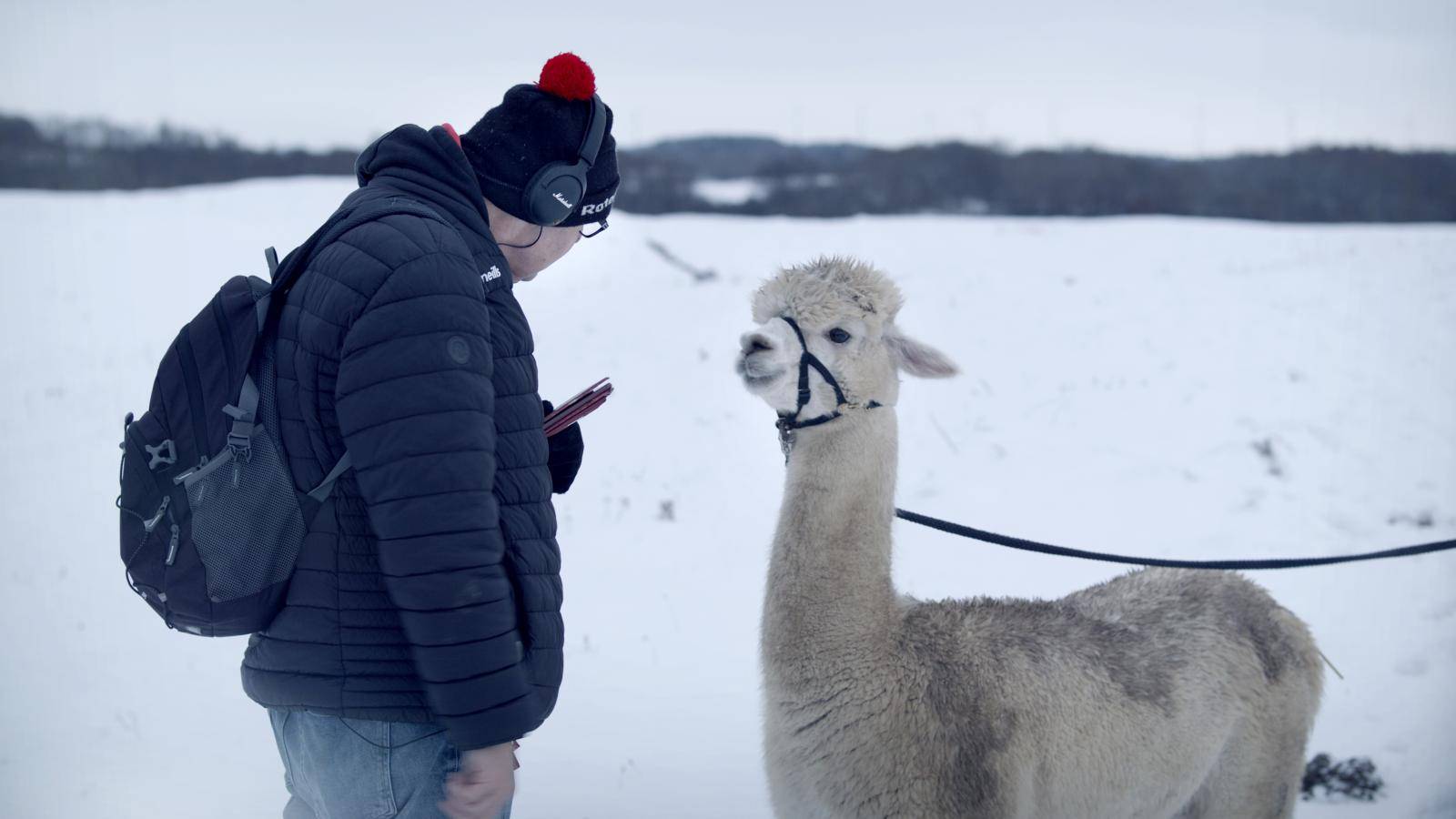 finding-connection-still